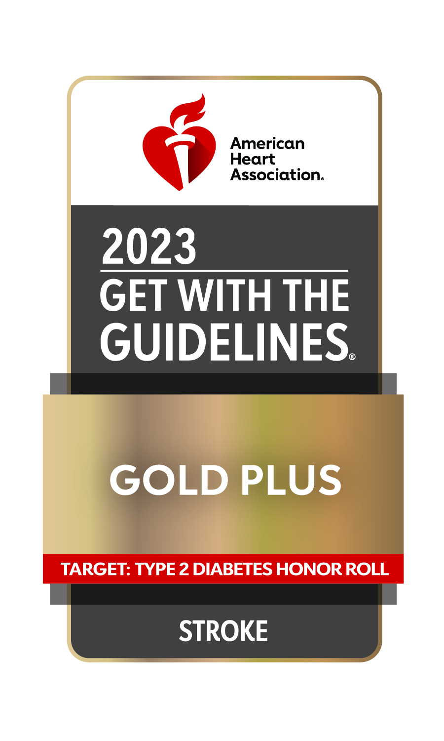 2023 Get with the Guidelines Gold Plus in Stroke